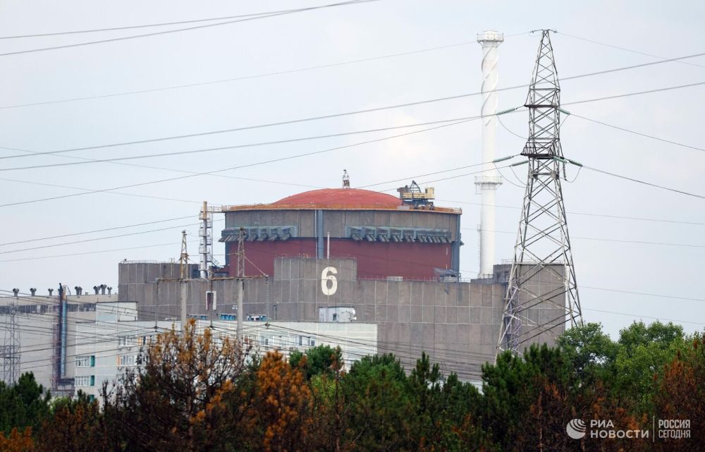 ������������, 4 ����: ������� ��������� ���� �� ����� ���������������