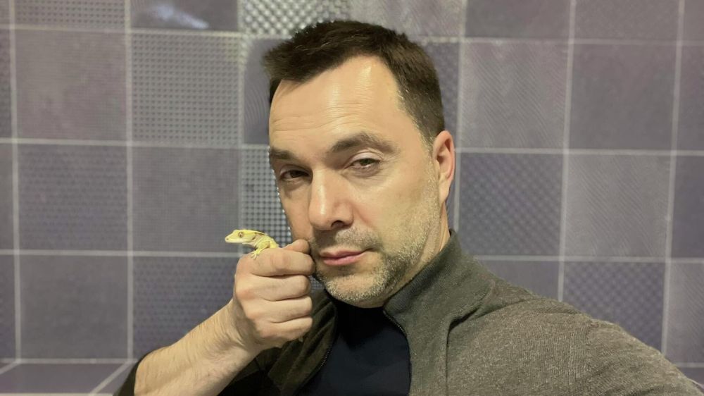 �� ���� ����������� ������� � ���������: ��������� ������ ������� � ������ �������� ����������