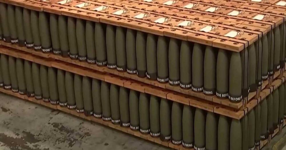 "��� ����� ���": ����� ������ ��������� ��������� ����� �������� ����