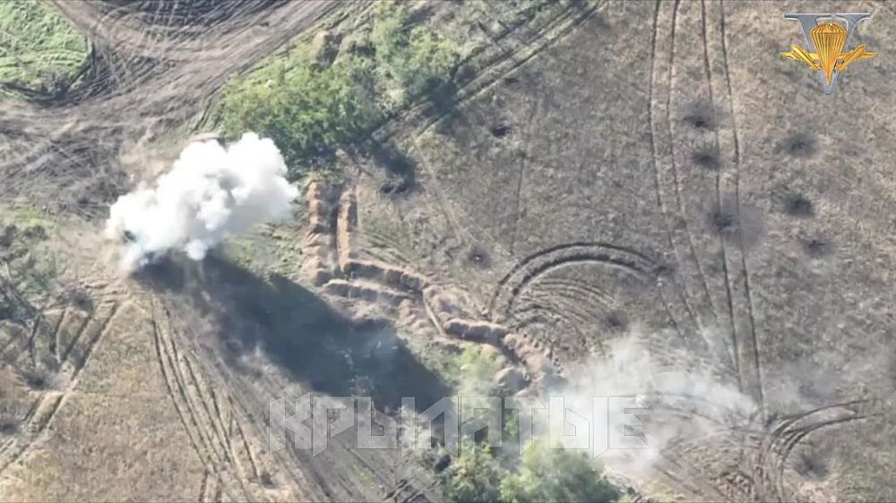 Борис Рожин: А вот вам кадры демилитаризации УкроРейха от лица артиллерии ВДВ