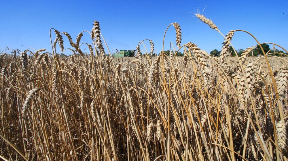 �����: ���� ��������� ������������ � �������� ���� � ��������