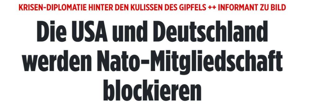 ��� � �������� ��������� ���������� ������� � ���� - Bild