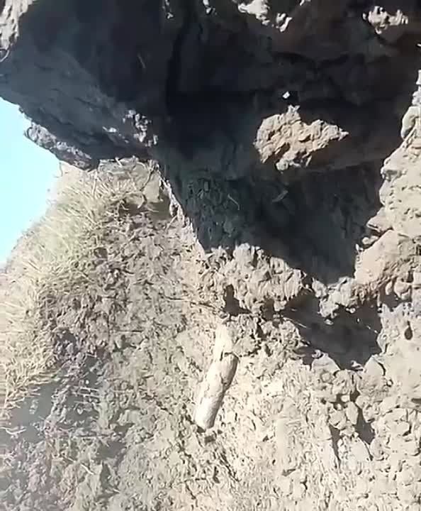 ������ �������: ���� ��������� ������� ������� �� ������� ����, ���������� �������� ����� �� ���� ����� ������