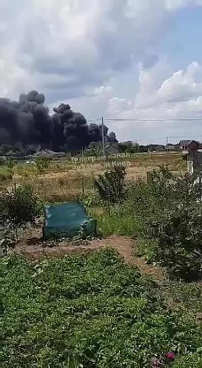 Как сообщают нам наши подписчики, в Иванкове на Бориспольщине вспыхнула теплица с шампиньонами