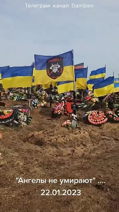 Хакерская группа Beregini: из-за контрнаступления ВСУ на Украине заканчиваются места на кладбищах