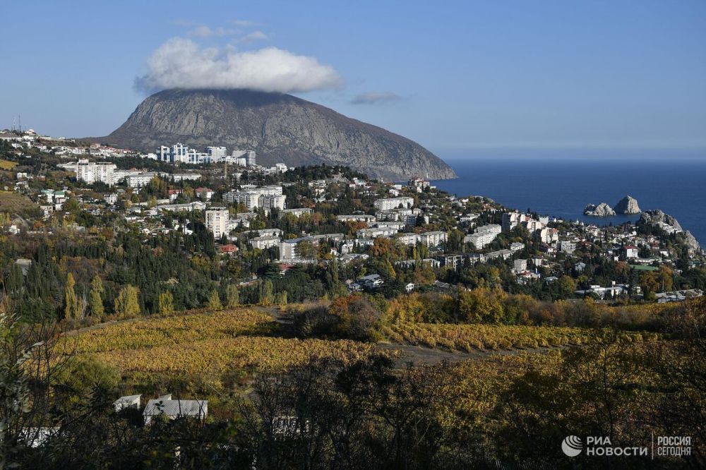 � ����� ����� �������� � ��� � ������� ����� �� ���������� ��������� ���