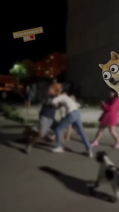 Юлия Витязева: Белая Церковь под Киевом