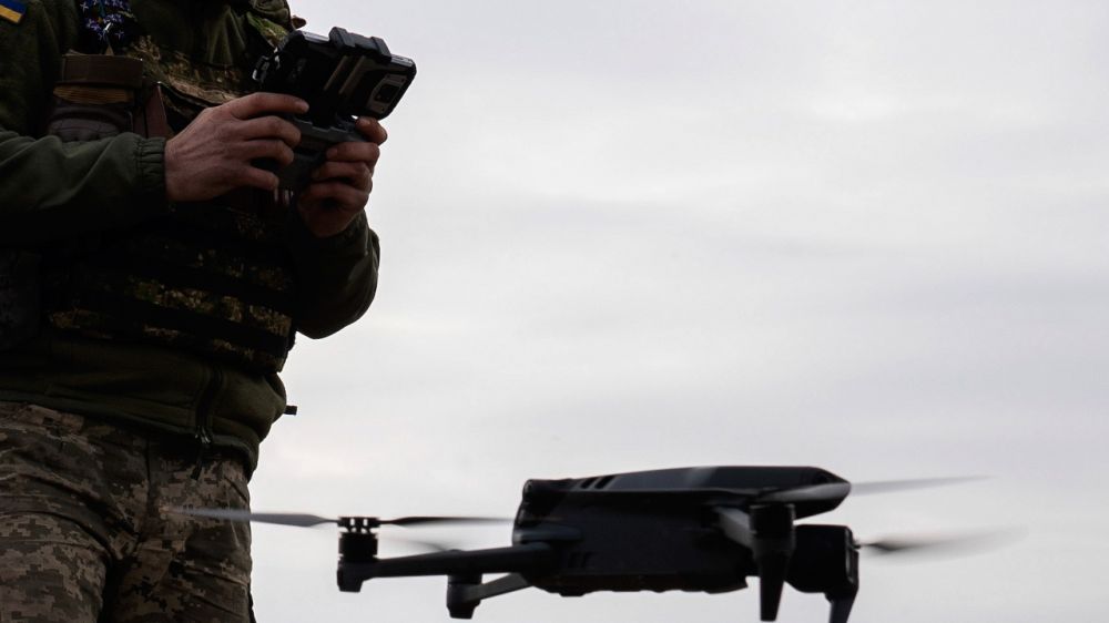 WP: ������� ���������� ������ � ���� �� 10 ����� �������������