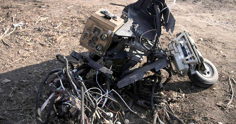 WP: ������� ���������� ������ 10 ����� �������������