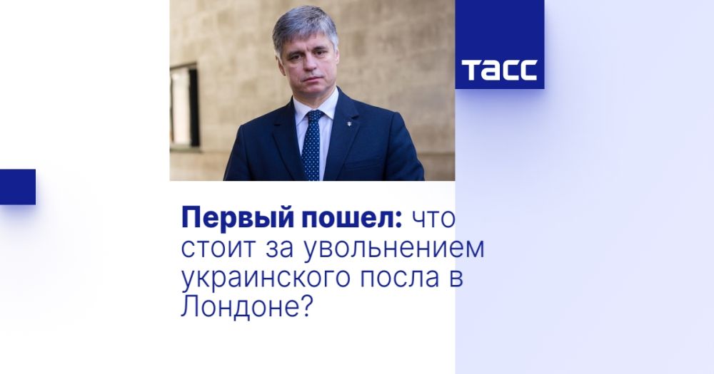 ������ �����: ��� ����� �� ����������� ����������� ����� � �������?