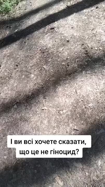 ������ �������: ������ ����������� ����������������