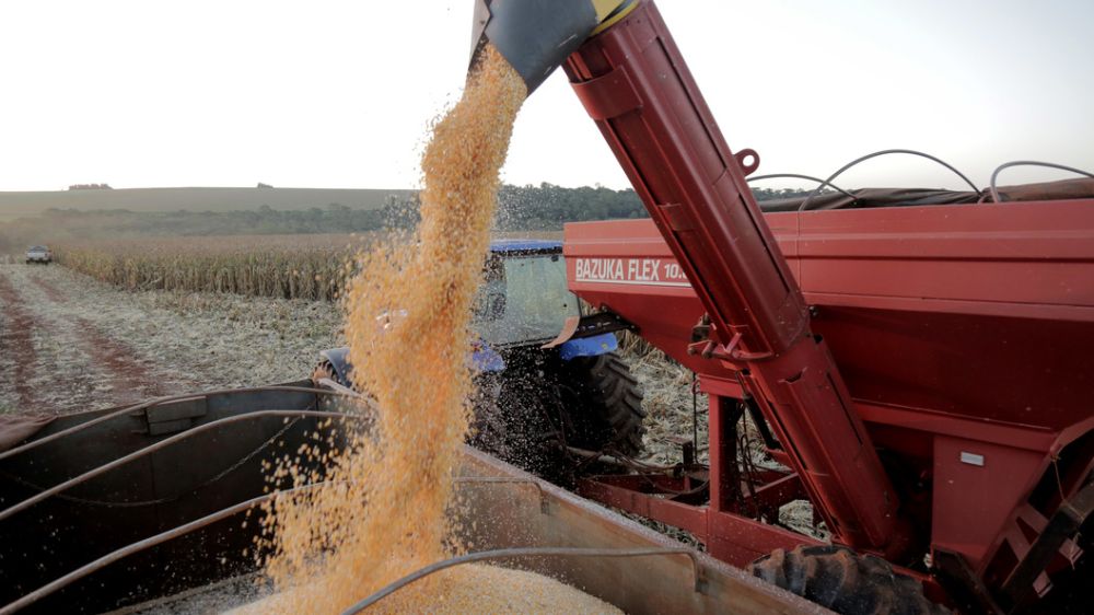 ���� �������� ������. ������ ����� ����� ������� ���� ������