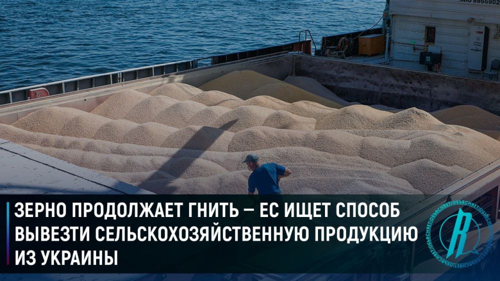 Зерно продолжает гнить — ЕС ищет способ вывезти сельскохозяйственную продукцию из Украины