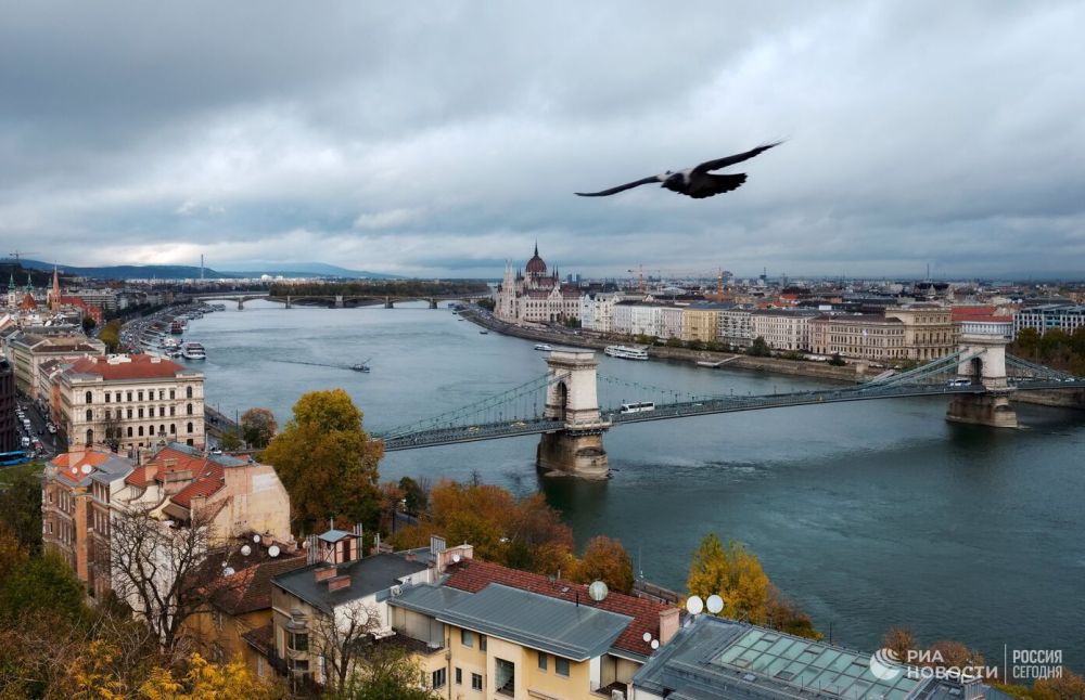 ������� ��������� �������� �� ��� �� ������� ������ ��������� �� �������