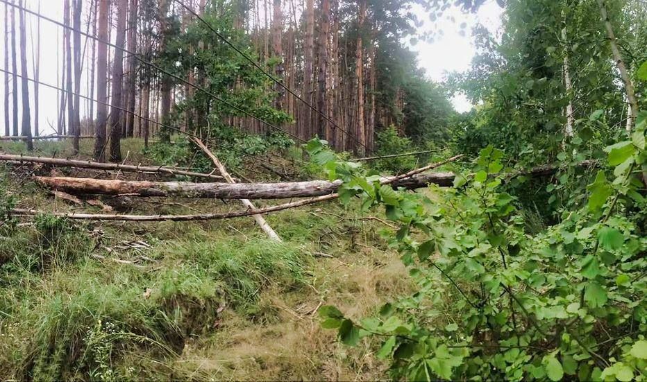 В Киевской области вчерашняя непогода надела прилично беды