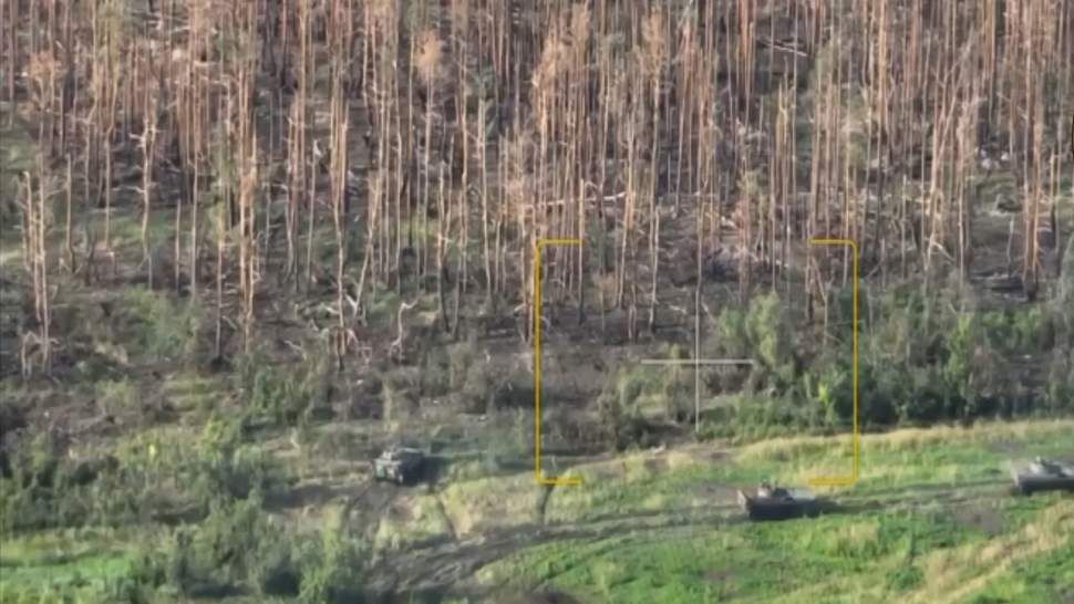 �� ������������ ����� ����������� ����������� ��� � ������������ �����������