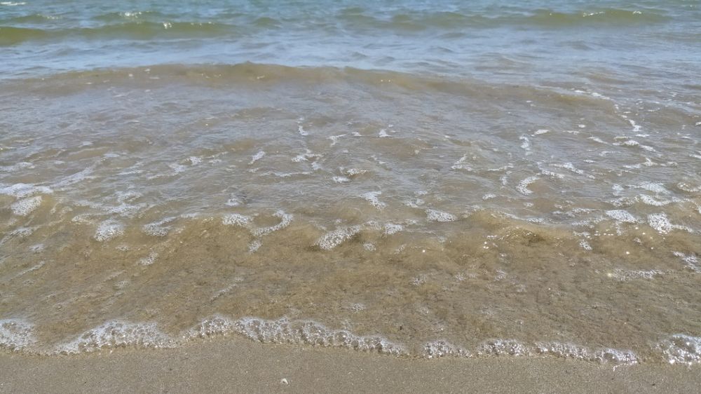 ���� �� ������� � ׸���� ����: ������� ������ ���������� �����