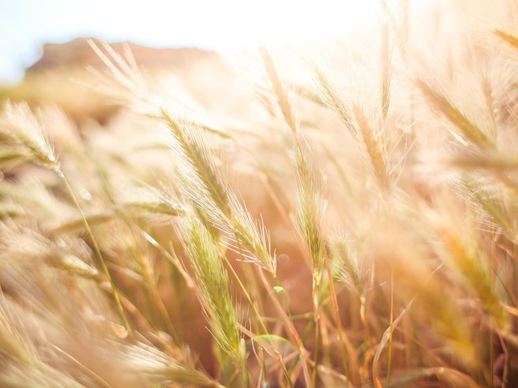 ������� ���������� ����������: ������� ������, ������� �������� ������ ������ �� �����