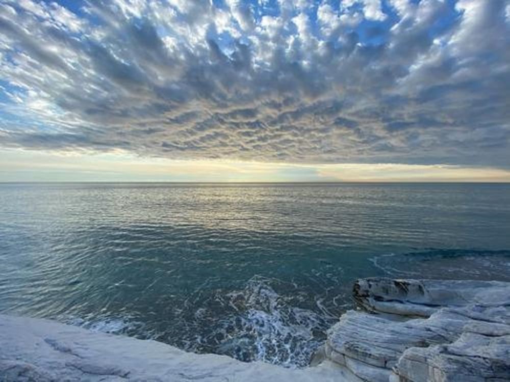 ��� �� ��������� � �������� ������ ����� ��������� � ������ ����