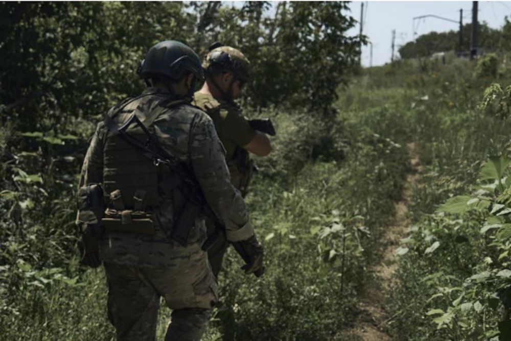 ���� �����: ����� ��� �� ��������� ����, ��� ������ �������� �� ������� ��������� �� ���� 2024 ���� � ����� ������� �������� � ����� ������ �����