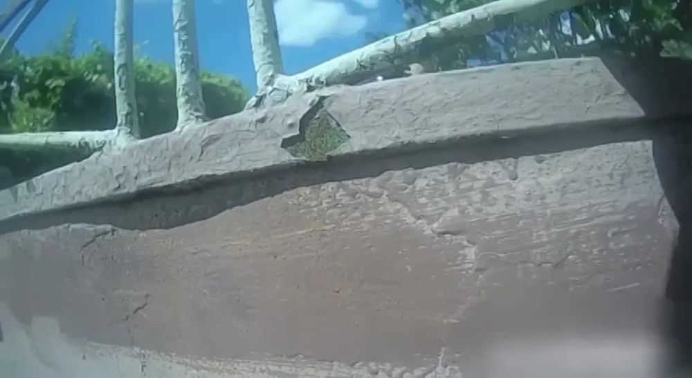 5 лет лишения свободы грозит за нападение на полицейских в состоянии алкогольного опьянения