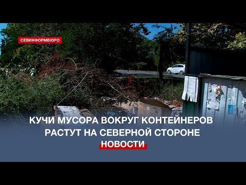 Свалки вокруг контейнеров: жители Северной стороны жалуются на растущие горы мусора