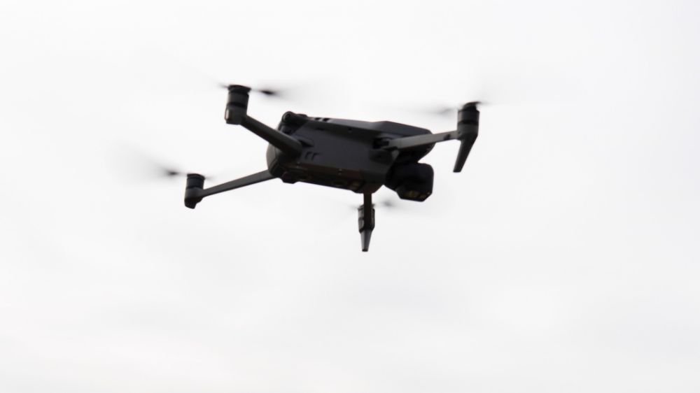 ������ �� �����: ���������� ������� ���������, ��� ����� �������� � ����������� ������ �� ����