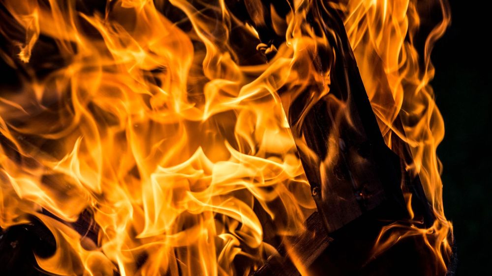 ������������������ ���, ���������� �����������, ������� ���� �����. ������� �� ������� �� ���� 15 �������