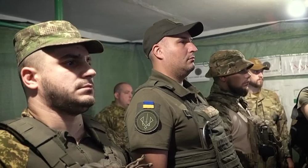 ������ �������: ��������� � ����� �������� 3-� ������� ���, ������� ����� �� �������������� ����������� � ����������� �������