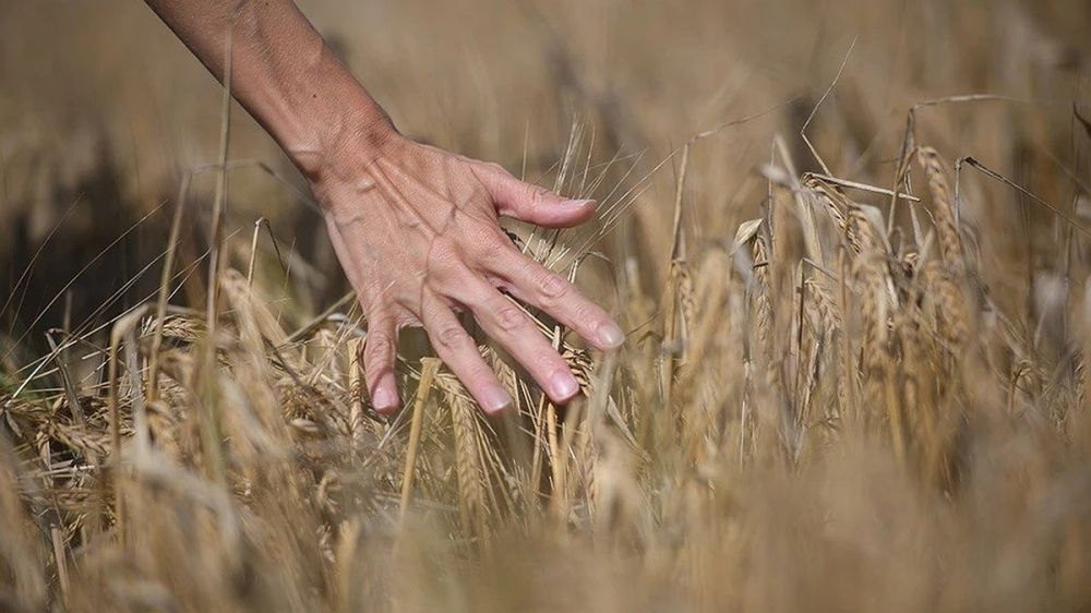 WSJ: ��� ������������� �������� �� �������� ����� � ������� ��� ������� ������