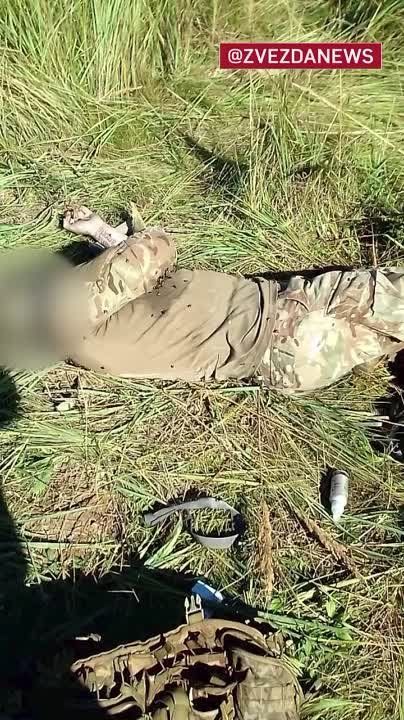 Минобороны и ФСБ предотвратили диверсию на территории Брянской области