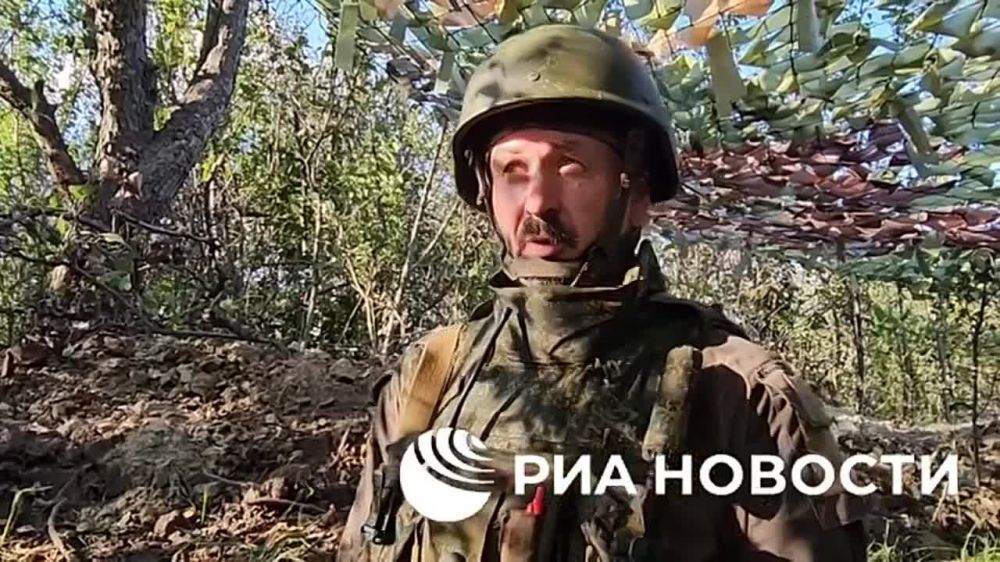  :           ,      ,        