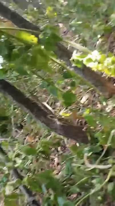 ��������� ��� ������������ ����� ����������� ����� � �����