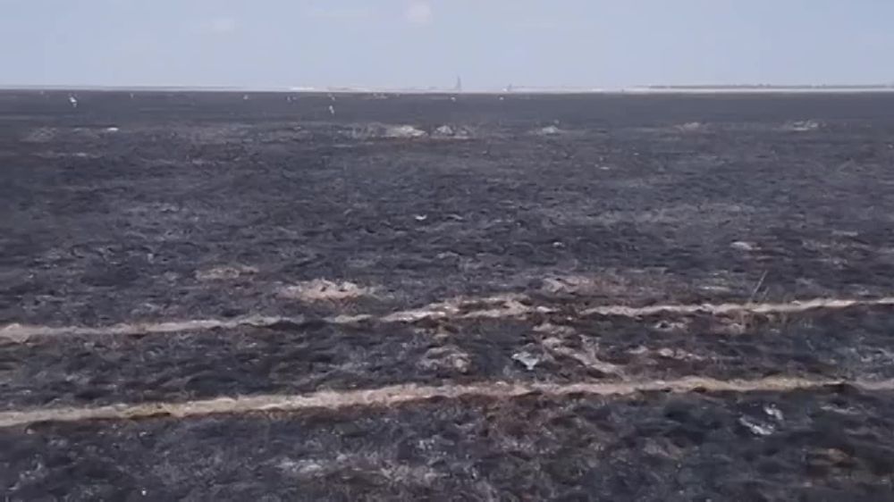 ������ ��������: ��� ����� ���� ���������� �� �����!?