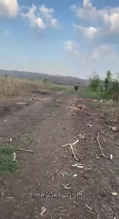 ������ �������: �� ���, ��� ������� �������! ���� ���������� �������� ������� ���, ����� ������ �������� ( ��������� ������) ������ �������