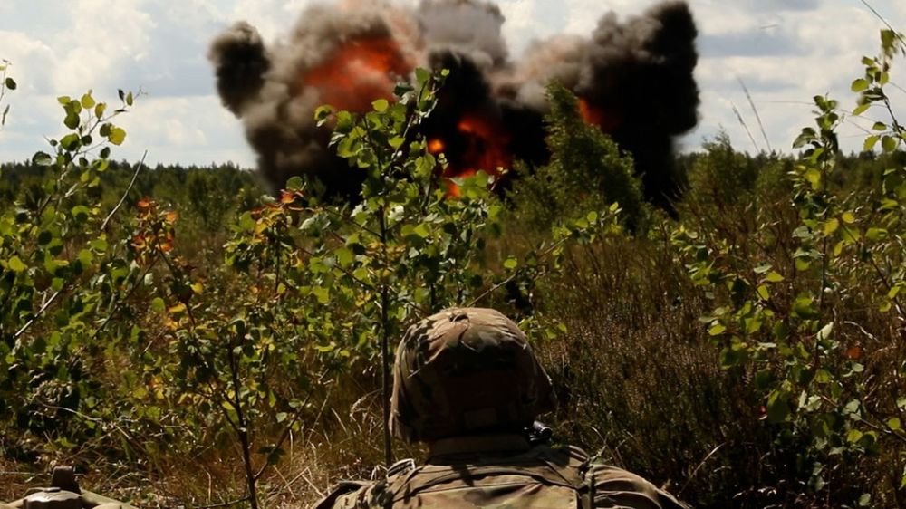 Таких диверсантов враг ещё не засылал: Что известно о напавшей на Брянщину особой ДРГ