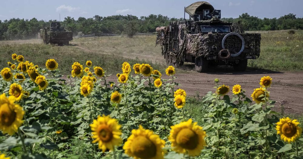 В США заявили, что Вашингтон скрывает правду о провале наступления ВСУ