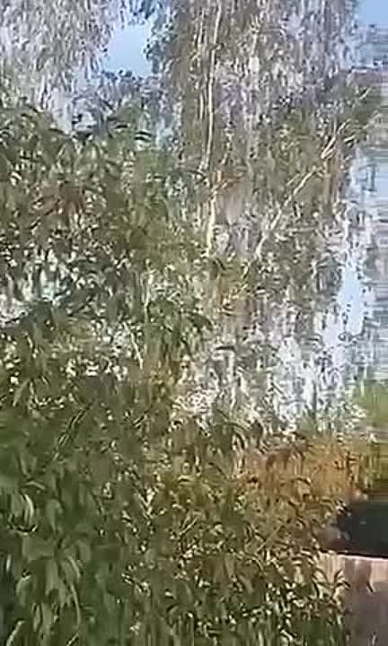 ����: ���������� ����������� �� ��� ��������� ��� � ��������, � ����� � ������ ������������ ������������ ������