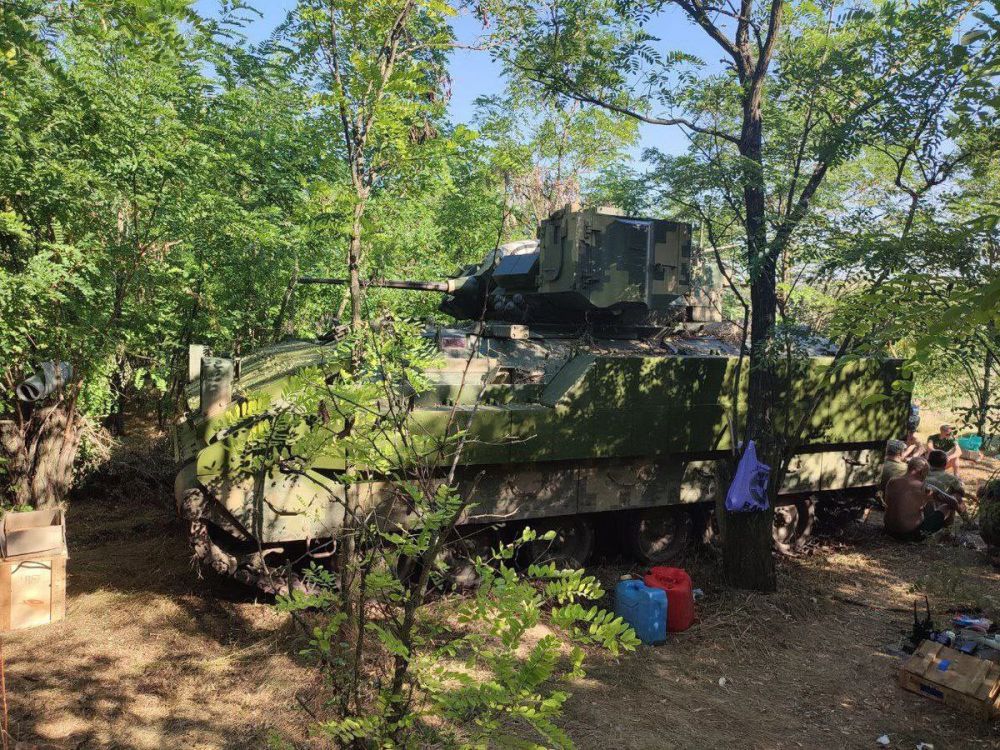 ���� �������: ������ ������������� ��� Bradley, ���������� � ������������ ����