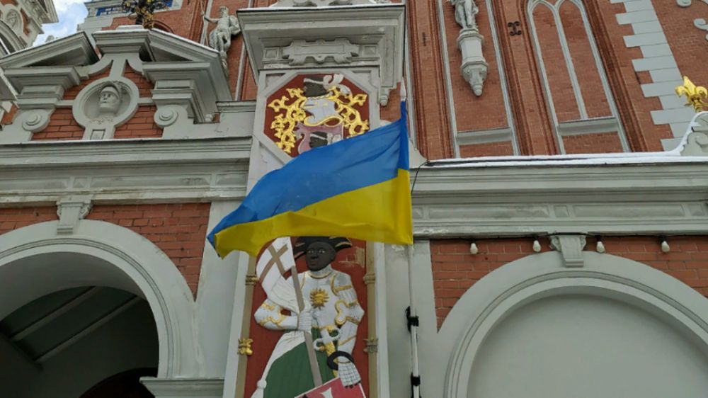 �������� ����-����: � ��� �������� ���� ���������� ����������� ������������ ���