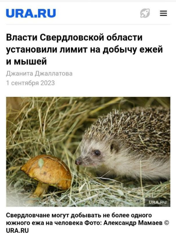 ������ ����������: ����� �������� �� ����. ������ ������� ���������� � �����