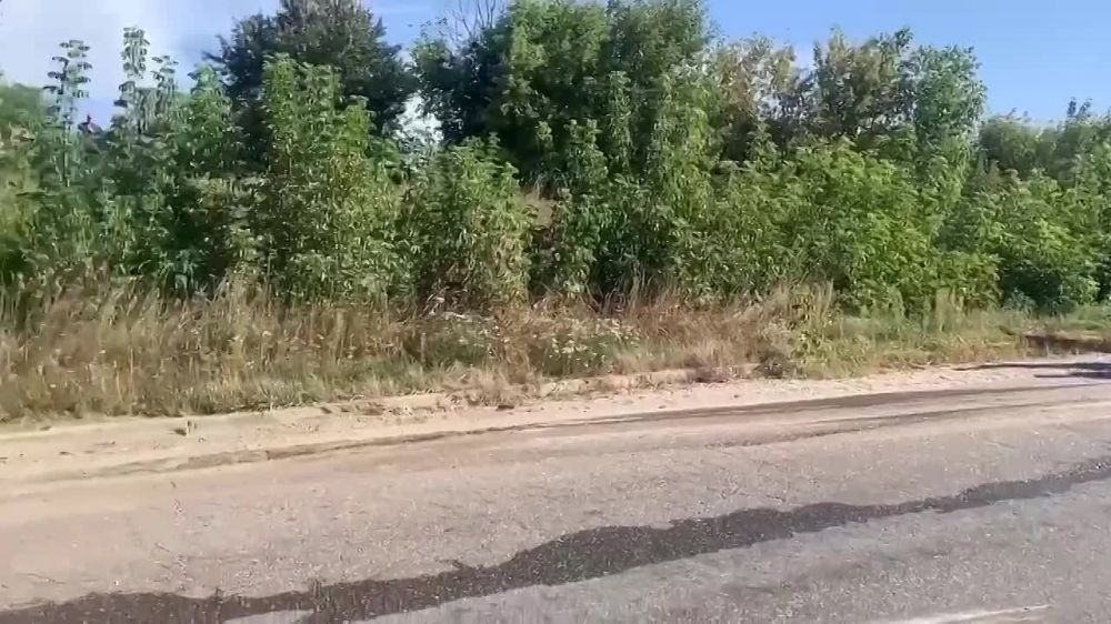 В Белой Церкви произошла непоправимая трагедия, огромнейшая фура с животными перекинулась на легковушку: водитель погиб на месте