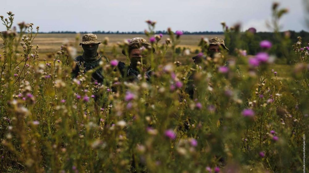 Пять украинских ДРГ уничтожены в зоне спецоперации