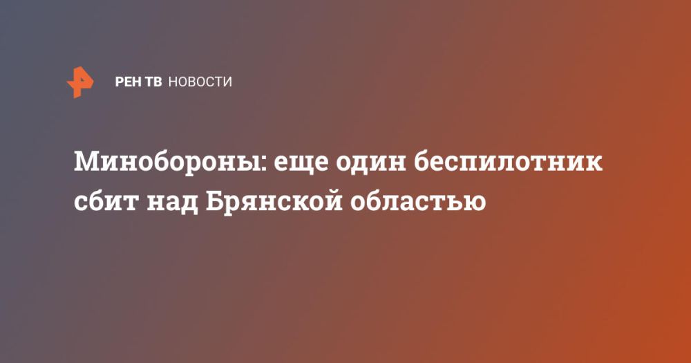 Минобороны: еще один беспилотник сбит над Брянской областью