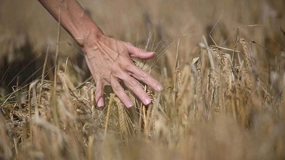 Sky News: ����� � ��������� �������� ���� �� ������ ������� � ��������� ��������