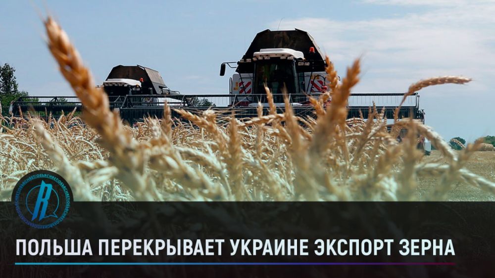 ������ ����������� ������� ������� �����