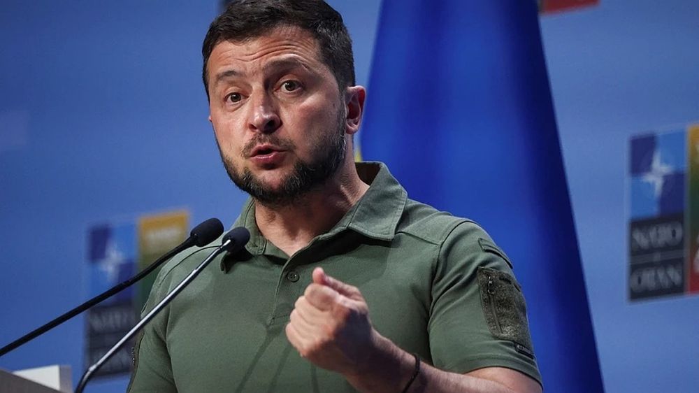 Полковник Рихтер назвал тревожным знаком жалобы Зеленского на уклонистов