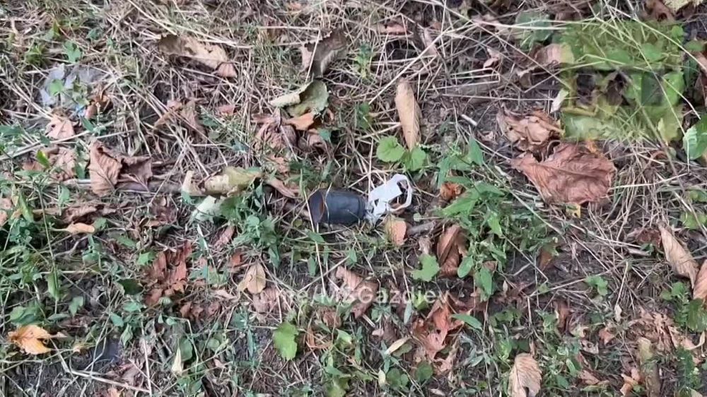 ����� �������: ��������� ����� ������� ��������� �������������� �������� ������������� ���������� 155-�� ���������