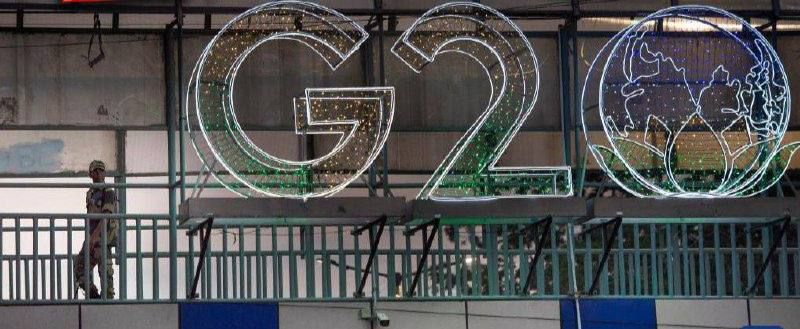 �������� �������: ������� �������� ������������ ����������� ������� G20 �� ����������� ���������