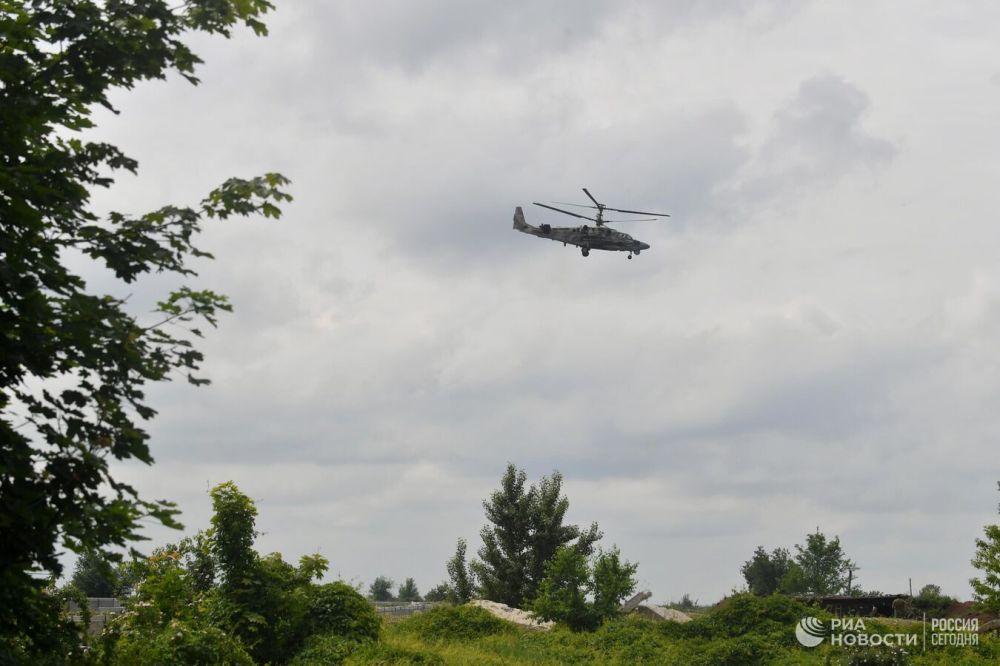 ������������, 10 ��������: ���� �� ��������� ������� �������� "�����"*